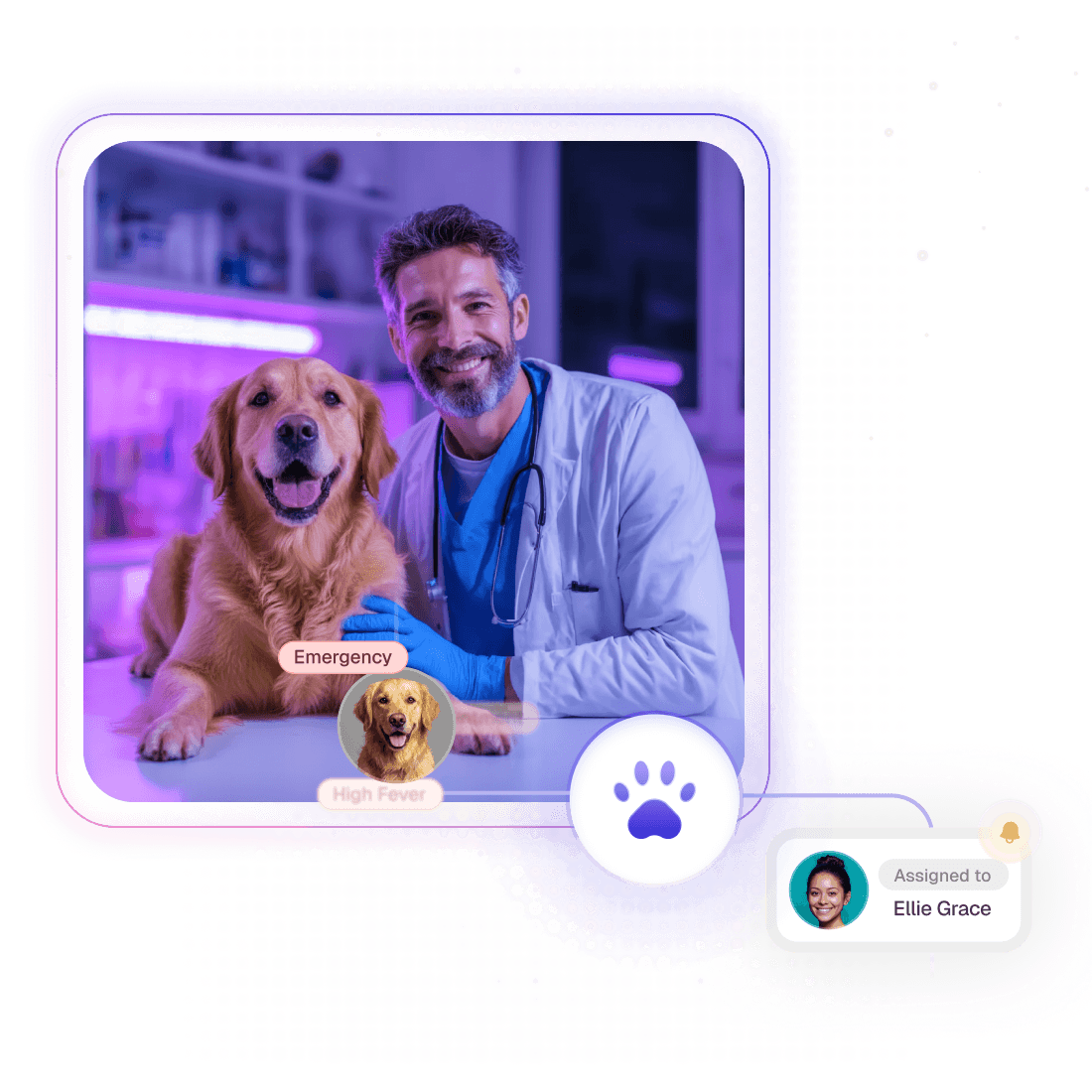 Enterprise-Grade Communication for Vet Groups Enterprise-Grade Communication for Vet Groups