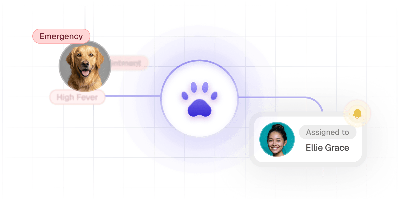 Veterinary Service Organizations (VSO) Veterinary Service Organizations (VSO)