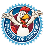 Dentist for Chickens Dentist for Chickens